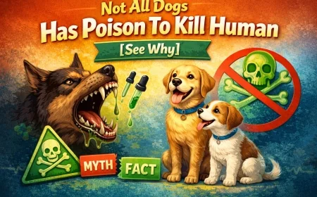 Not All Dogs Has Poison To Kill Human [See Why]