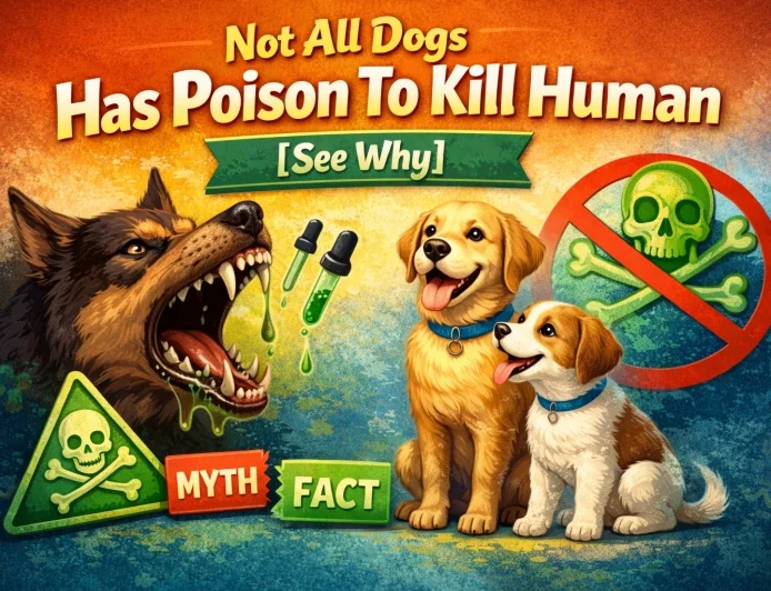 Not All Dogs Has Poison To Kill Human [See Why]