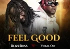 Feel Good - Blizzboss (feat. Vokal Osi)