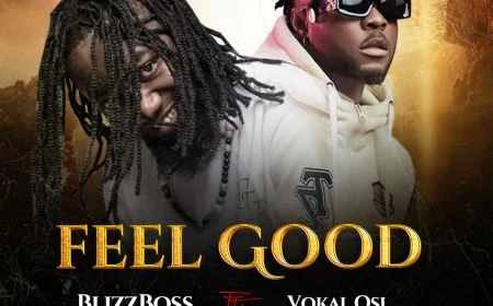 Feel Good - Blizzboss (feat. Vokal Osi)