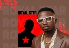 Bola - Royal Star