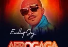 Excellent jay - Afrogaga