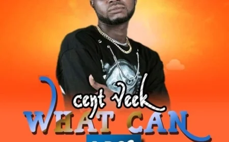 Mrveek What can i do?