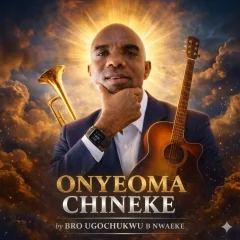 Ugochukwu Bede Nwaeke